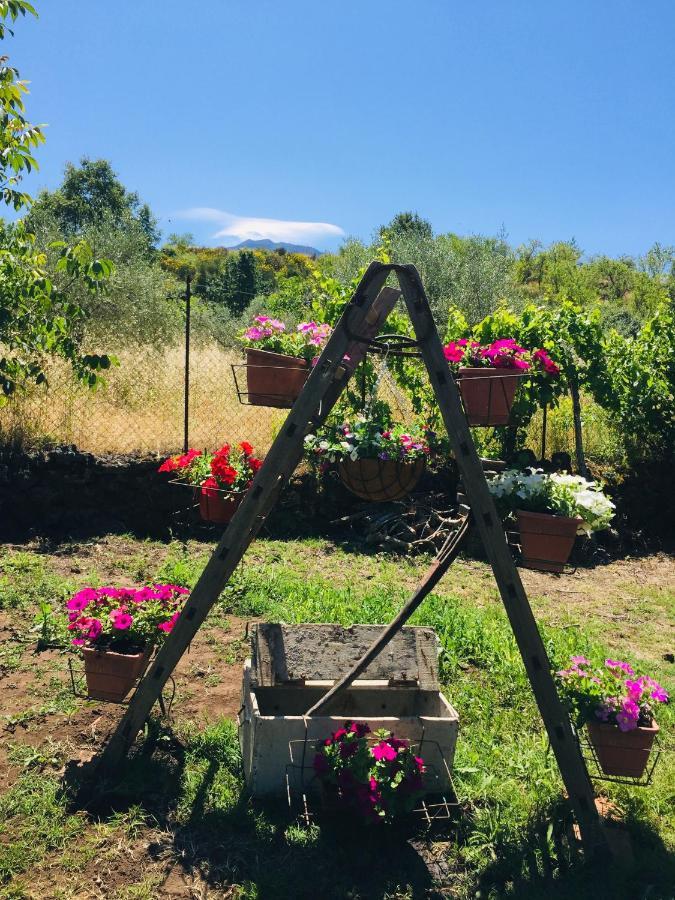 Вилла Casa Etna Бронте Экстерьер фото